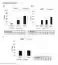 Fig. 18 - Dual targeting antisense oligonucleotides as apoptotic inhibtor therapeutic compostions and methods for their use in the treatment of cancer