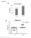 Fig. 23 - Dual targeting antisense oligonucleotides as apoptotic inhibtor therapeutic compostions and methods for their use in the treatment of cancer