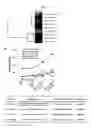 Fig. 02 - Composition for promoting chondrocyte differentiation or treating cartilage diseases, containing KLF10 expression inhibitor, and method for promoting cartilage differentiation by using same