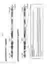 Fig. 03 - Composition for promoting chondrocyte differentiation or treating cartilage diseases, containing KLF10 expression inhibitor, and method for promoting cartilage differentiation by using same