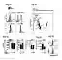 Fig. 02 - DDX5 AND ASSOCIATED NON-CODING RNAs AND MODULATION OF TH17 EFFECTOR FUNCTION