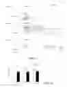 Fig. 08 - Pharmaceutical composition and method for reducing scar formation