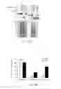 Fig. 02 - Method for high efficiency protein delivery into plastids