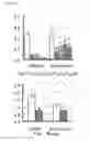 Fig. 08 - Transgenic plants expressing a pH-sensitive nitrate transporter