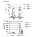 Fig. 11 - Transgenic plants expressing a pH-sensitive nitrate transporter