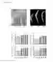 Fig. 18 - Transgenic plants expressing a pH-sensitive nitrate transporter