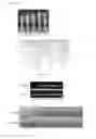 Fig. 19 - Transgenic plants expressing a pH-sensitive nitrate transporter