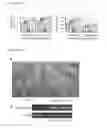 Fig. 20 - Transgenic plants expressing a pH-sensitive nitrate transporter
