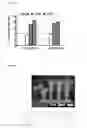 Fig. 22 - Transgenic plants expressing a pH-sensitive nitrate transporter