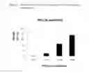 Fig. 31 - METHOD FOR THE PRODUCTION OF MULTIPLE-UNSATURATED FATTY ACIDS IN TRANSGENIC ORGANISMS