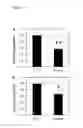 Fig. 02 - Plants Having Enhanced Pathogen Resistance and Methods of Modulating Pathogen Resistance in Plants