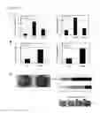 Fig. 19 - Plants Having Enhanced Pathogen Resistance and Methods of Modulating Pathogen Resistance in Plants