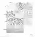 Fig. 07 - Protein with recombinase activity for site-specific DNA-recombination