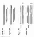 Fig. 22 - DNA-binding proteins and uses thereof