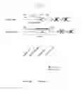 Fig. 03 - Method for producing 1,3-propanediol using microorganism variant with deletion of 2,3-butanediol synthetic gene