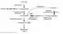 Fig. 01 - Methods and strains for producing bioproducts in 