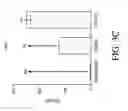 Fig. 09 - SYSTEM AND METHOD FOR IMPROVED TRANSIENT PROTEIN EXPRESSION IN CHO CELLS