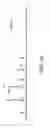 Fig. 16 - SYSTEM AND METHOD FOR IMPROVED TRANSIENT PROTEIN EXPRESSION IN CHO CELLS