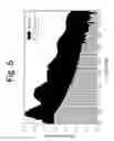 Fig. 07 - Compositions and methods for enriching populations of nucleic acids