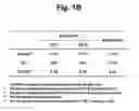 Fig. 03 - Detection of a target nucleic acid sequence using two different detection temperatures