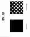 Fig. 32 - Methods for sequencing nucleic acids