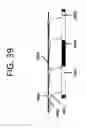 Fig. 43 - Methods for sequencing nucleic acids