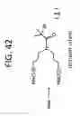 Fig. 46 - Methods for sequencing nucleic acids