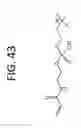 Fig. 47 - Methods for sequencing nucleic acids