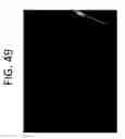 Fig. 55 - Methods for sequencing nucleic acids