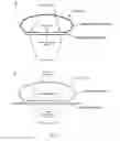 Fig. 04 - Nucleic acid probe and method of detecting genomic fragments