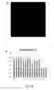 Fig. 08 - Nucleic acid probe and method of detecting genomic fragments
