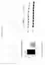 Fig. 07 - BAG3 as a target for therapy of heart failure