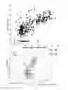 Fig. 09 - MiRNA expression signature in the classification of thyroid tumors