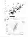 Fig. 12 - MiRNA expression signature in the classification of thyroid tumors