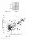 Fig. 13 - MiRNA expression signature in the classification of thyroid tumors