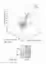 Fig. 14 - MiRNA expression signature in the classification of thyroid tumors