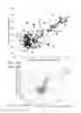Fig. 22 - MiRNA expression signature in the classification of thyroid tumors