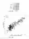 Fig. 23 - MiRNA expression signature in the classification of thyroid tumors