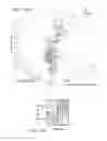 Fig. 24 - MiRNA expression signature in the classification of thyroid tumors