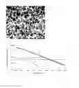 Fig. 03 - OVERHEATING-INSENSITIVE FINE GRAINED ALLOY STEEL FOR USE IN DOUBLE HIGH-FREQUENCY HEAT TREATMENT AND METHOD OF MANUFACTURING THE SAME