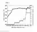 Fig. 02 - Nitriding method and nitrided part production method
