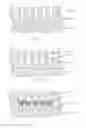 Fig. 01 - COLORED SHAPED ALUMINUM ARTICLE AND METHOD FOR MANUFACTURING SAME