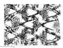 Fig. 01 - Method of preparing sample for crystal structure analysis, method of determining absolute configuration of chiral compound, and polynuclear metal complex monocrystal