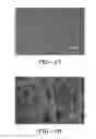 Fig. 11 - ELECTRO-SPUN FIBERS AND APPLICATIONS THEREOF