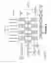 Fig. 07 - Proliferated thread count of a woven textile by simultaneous insertion within a single pick insertion event of a loom apparatus multiple adjacent parallel yarns drawn from a multi-pick yarn package