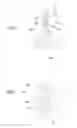 Fig. 04 - Iron structure
