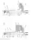 Fig. 02 - Plumbing apparatus