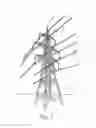 Fig. 02 - LATTICE MAST HAVING AN OPEN FRAMEWORK STRUCTURE IN PARTICULAR AN ELECTRICITY PYLON OR TELECOMMUNICATION MAST, AND METHOD FOR INCREASING THE STABILITY OF LATTICE MASTS HAVING AN OPEN FRAMEWORK STRUCTURE