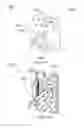 Fig. 03 - Reversible Handleset Spindle Actuator And Related Method And Kit