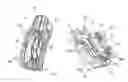 Fig. 01 - Method for producing a catch for a window lifting device